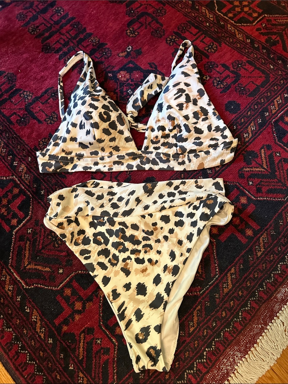 aerie Leopard Print Bikini Set